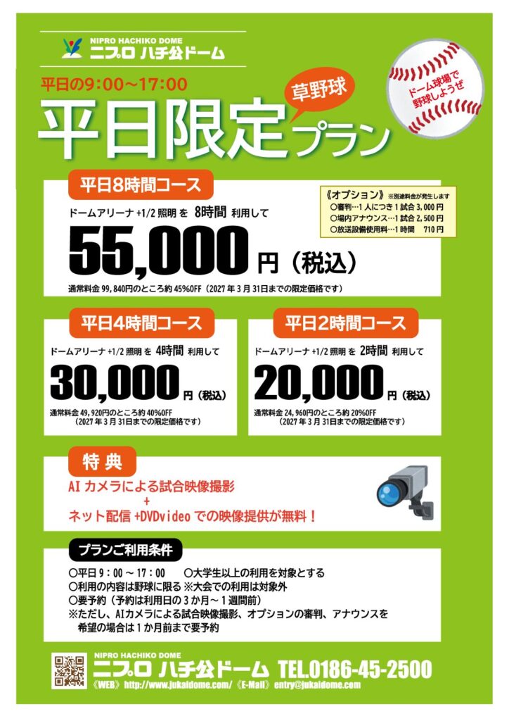 ドームで草野球プラン
